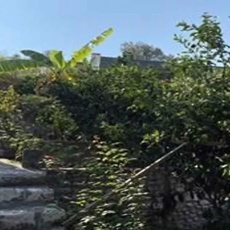 In 6375 Tatil Evi Vela Luka